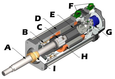 Servo Actuator Cutaway model